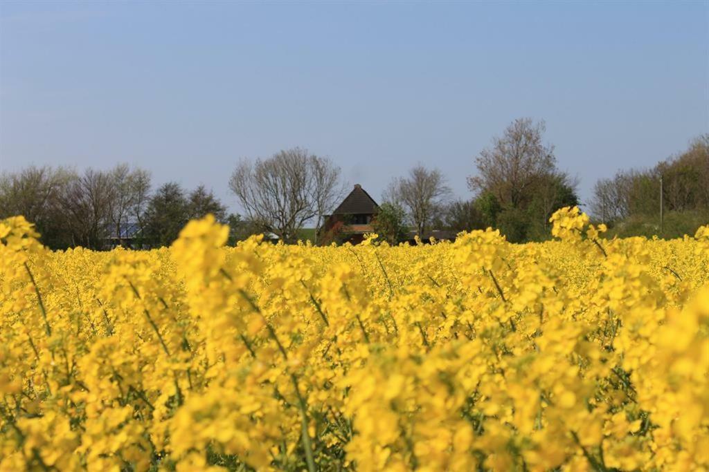 Ferienhof am Deich Tumlauer Koog Exterior foto