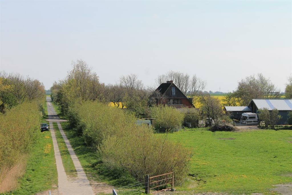 Ferienhof am Deich Tumlauer Koog Exterior foto